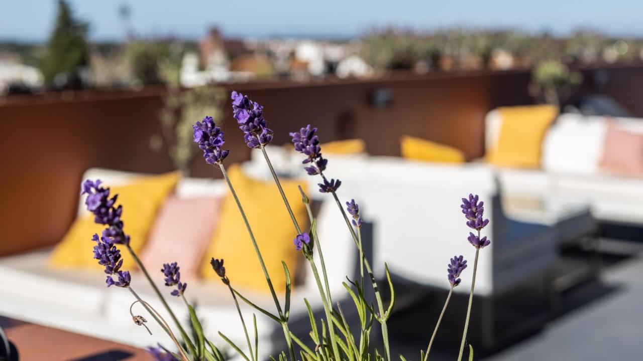 Vitoria Stone Hotel Έβορα Εξωτερικό φωτογραφία